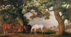 Mares and Foals in a Wooded Landscape 1760 Art Print