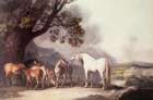 Mares and Foals in Mountain Landscape 1769 Art Print