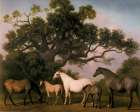 Mares and Foals with Oak Tree 1773 Art Print