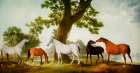 Mares by an Oak Tree 1764 Art Print