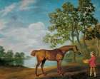 Pumpkin with a Stable Lad 1774 Art Print