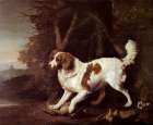 Spaniel Retrieving a Woodcock 1780 Art Print