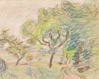 Path at the edge of a wood Art Print