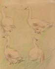 Study of four geese Art Print