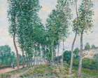 The Poplar Avenue along the Loing 1892 Art Print
