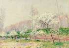 Apple Trees in Blossom (1890) Art Print