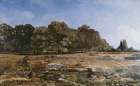 Edge of the Fontainebleau forest (1865) Art Print