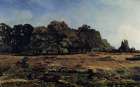 Lisiere in the Forest of Fontainebleau 1865 Art Print