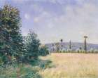 Sahurs Meadows in Morning Sun 1894 Art Print