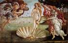 The Birth of Venus ca 1485 Art Print