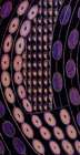 Stylised Daisies, Purple on Black Abstract Art Print