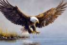 Fishing Eagle II Art Print