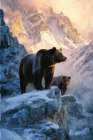 Mountain Bears II Art Print