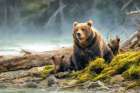 Bear and Cubs II Art Print