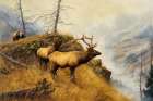 Bear and Elk I Art Print