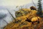 Bear and Elk II Art Print