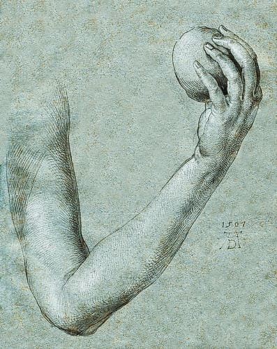 Arm of Eve 1507 Art Print