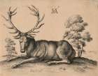 Stag, Wenceslaus Hollar Art Print