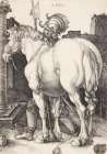 Durer, Albrecht Art Print