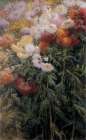 Clump of Chrysanthemums at Petit-Gennevilliers 1893 Art Print