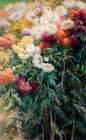 Chrysanthemums in the Garden at Petit├óΓé¼ΓÇ£Gennevilliers 1893 Art Print