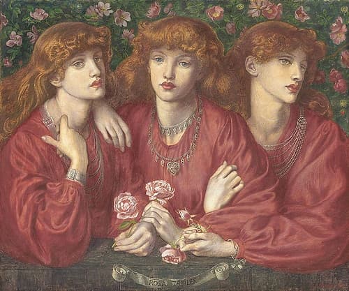 Rosa Triplex 1874 Art Print