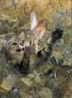 A Cat and a Chaffinch 1885 Art Print