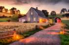 Farm Fantasy III Art Print