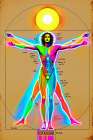 Vitruvian Man Pop Art VI Art Print