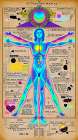 Vitruvian Man Pop Art VII Art Print