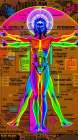 Vitruvian Man Pop Art VIII Art Print