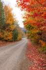 Autumn Along a Country Road Art Print