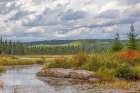 Costello Creek, Algonquin Park Art Print