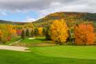 Golf Course in Autumn Art Print