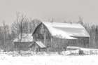 Old Barn Richmond, Ontario I Art Print