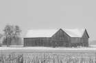 Old Barn Richmond, Ontario II Art Print