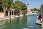 Turkey, Fish Lake in Sanliurfa Art Print