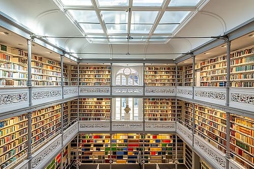 University Museum Utrecht Library Classique reproduction