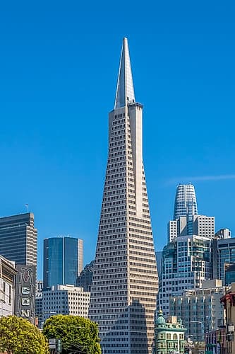 Transamerica Pyramid Skyline View Art Print