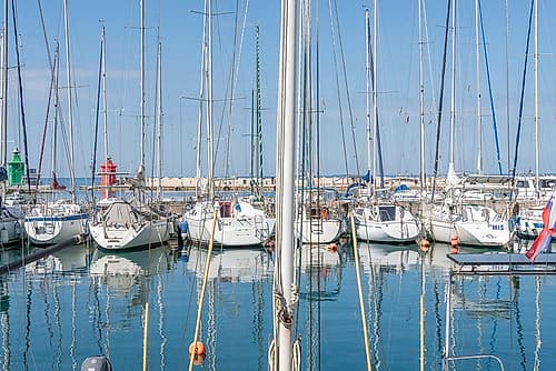 Marina with Sailboats II Art Print