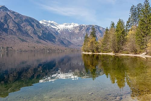 Lake Bohinj Shoreline II Art Print