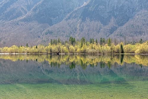 Lake Bohinj Emerald Water Art Print