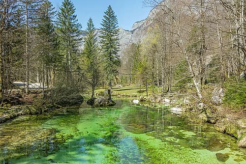 Slovenian Emerald Spring Art Print