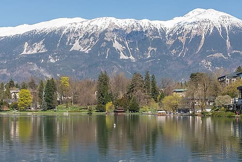 Lake Bled with Snowcapped Alps Art Print