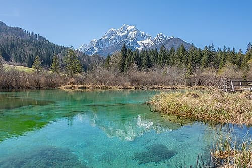 Zelenci Nature Reserve Spring I Art Print
