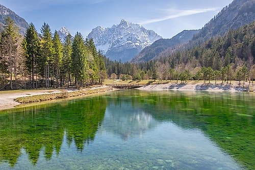 Zelenci Nature Reserve Spring II Art Print