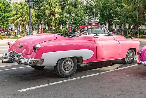 Pink Convertible Havana Palms Art Print