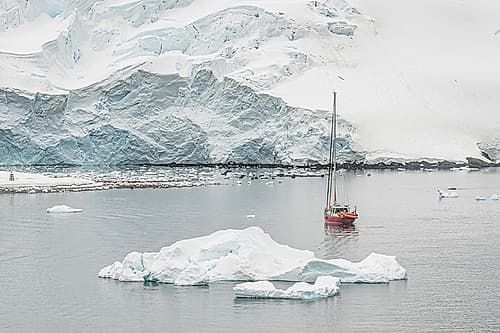 Red Sailboat Near Penguin Colony Art Print