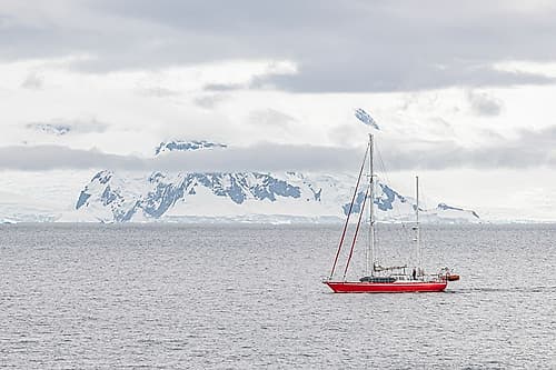 Red Sailboat Underway Antarctica Art Print