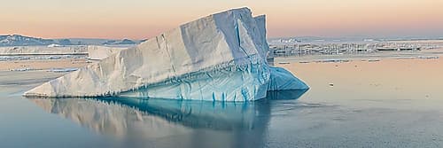 Panoramic Wedge Iceberg with Birds Art Print